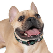 Island Escape Black Dog Collar