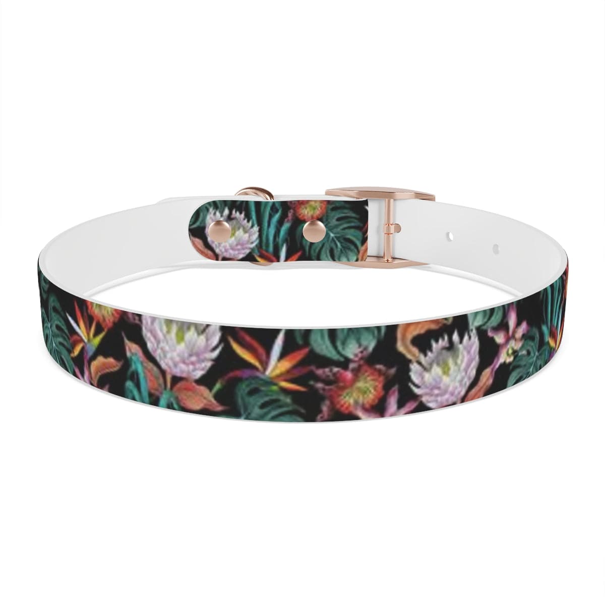 Island Escape Black Dog Collar