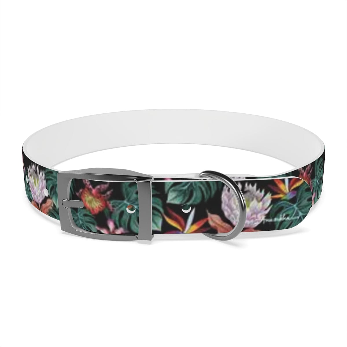 Island Escape Black Dog Collar