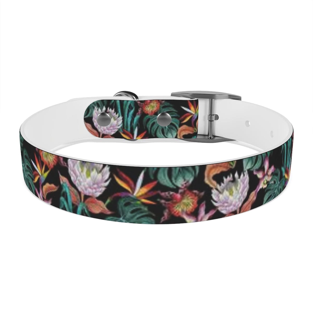 Island Escape Black Dog Collar