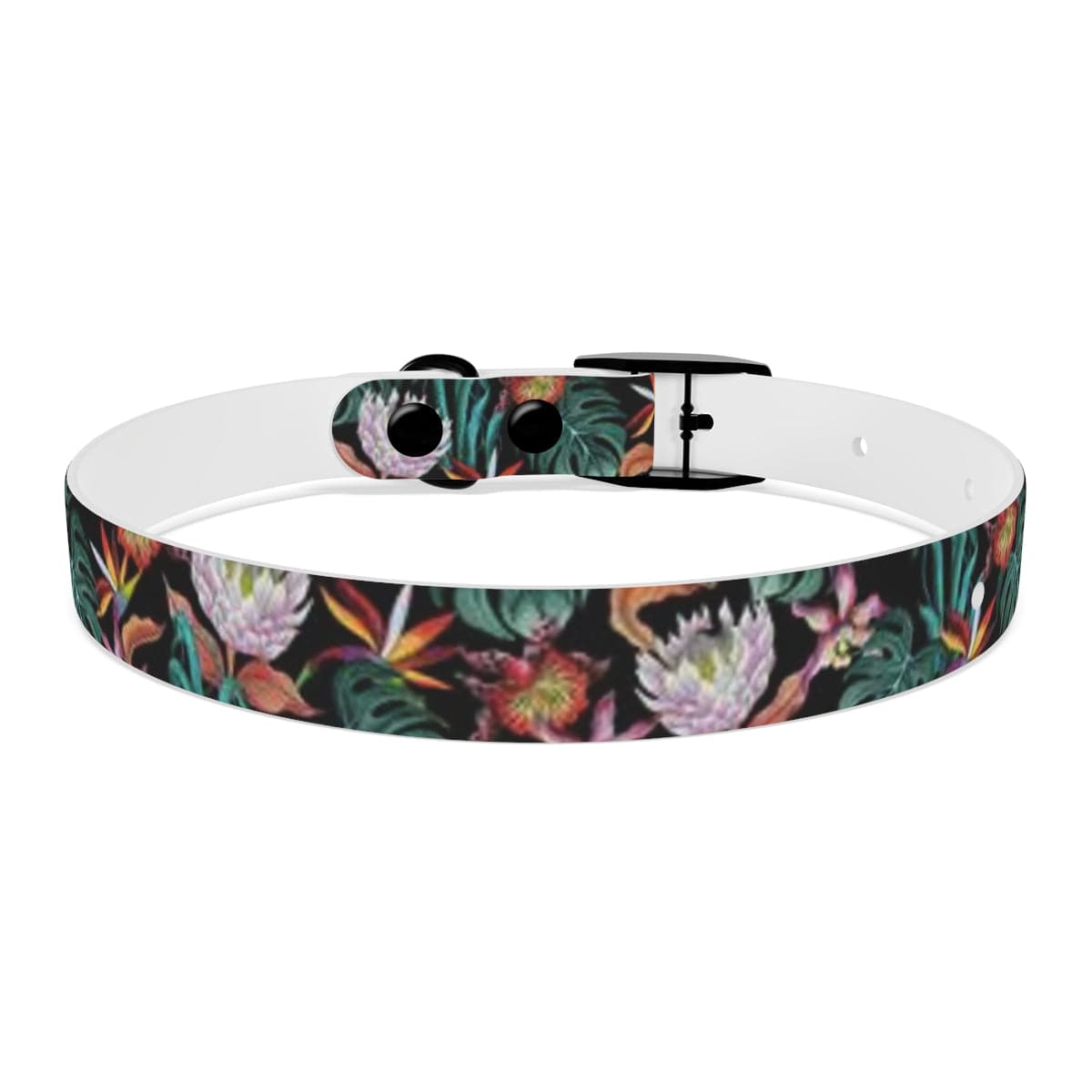 Island Escape Black Dog Collar