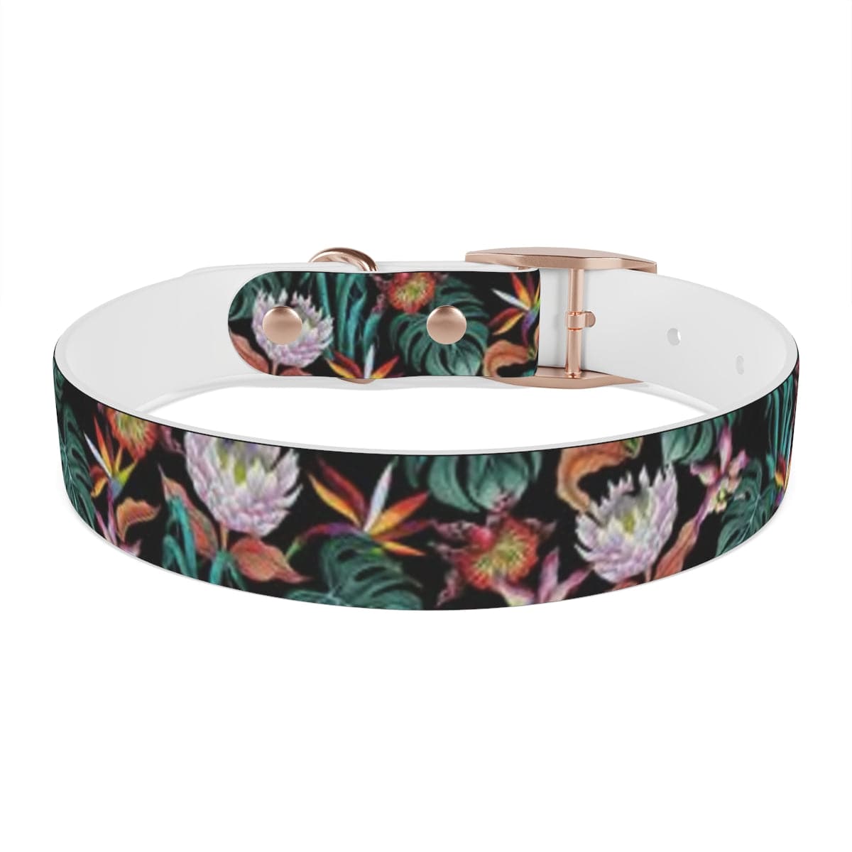 Island Escape Black Dog Collar