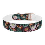 Island Escape Black Dog Collar