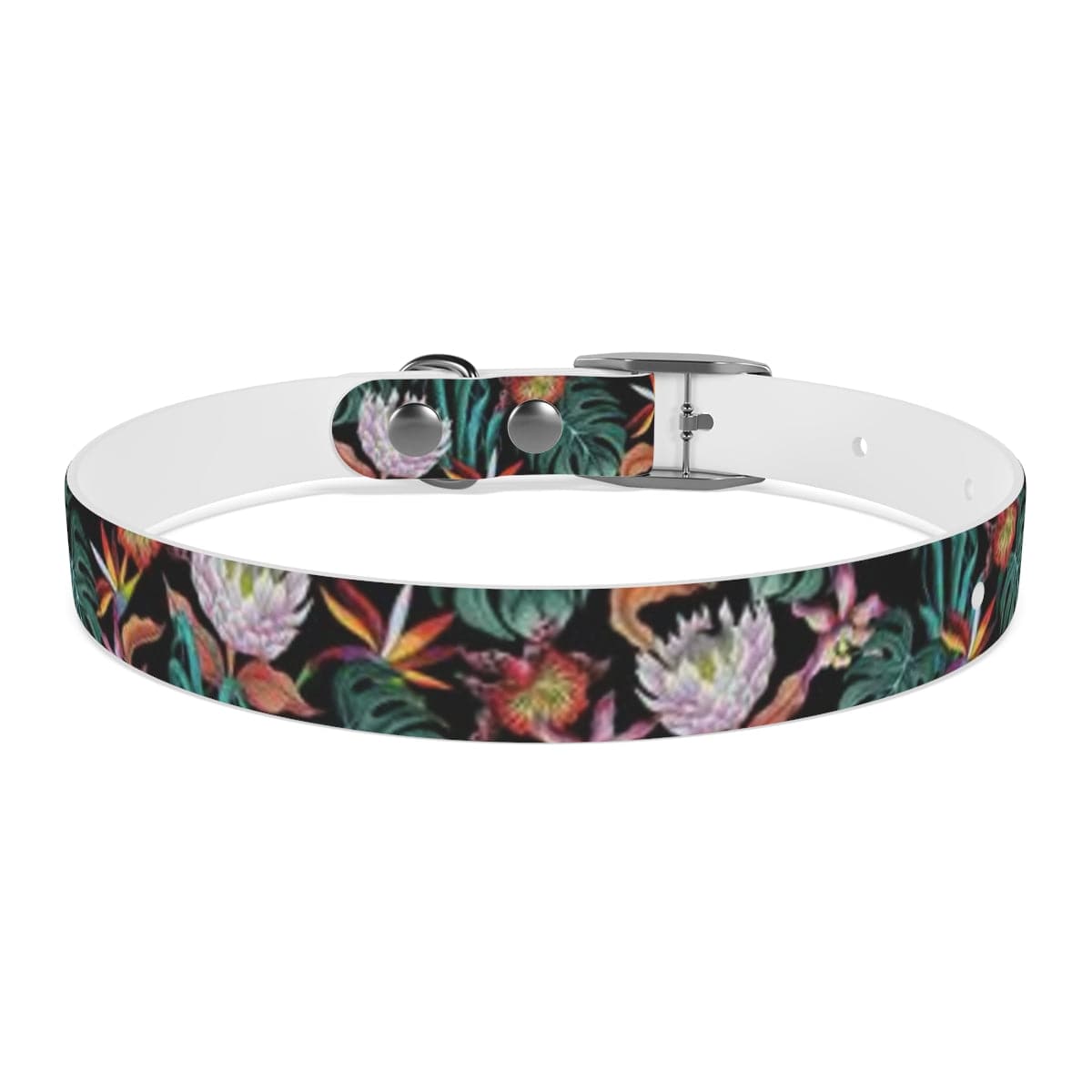 Island Escape Black Dog Collar