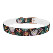 Island Escape Black Dog Collar