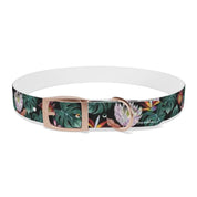 Island Escape Black Dog Collar