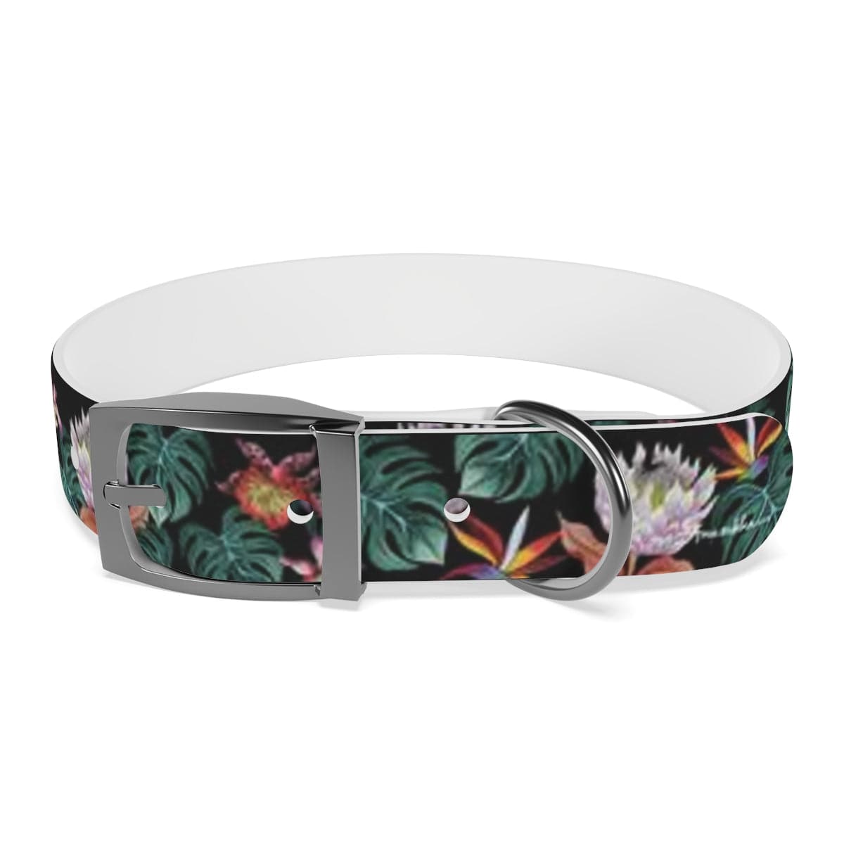 Island Escape Black Dog Collar