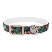 Island Escape Black Dog Collar