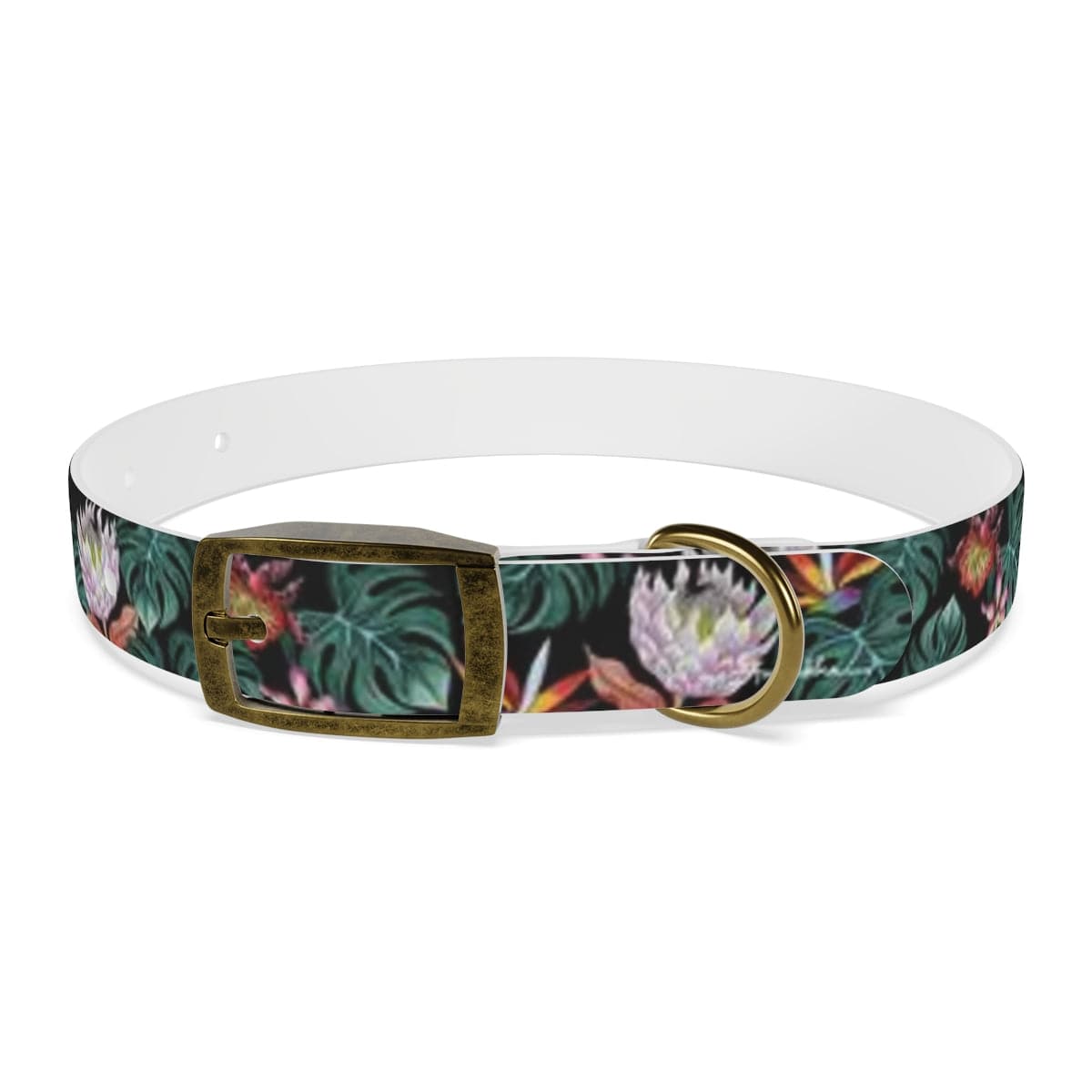 Island Escape Black Dog Collar