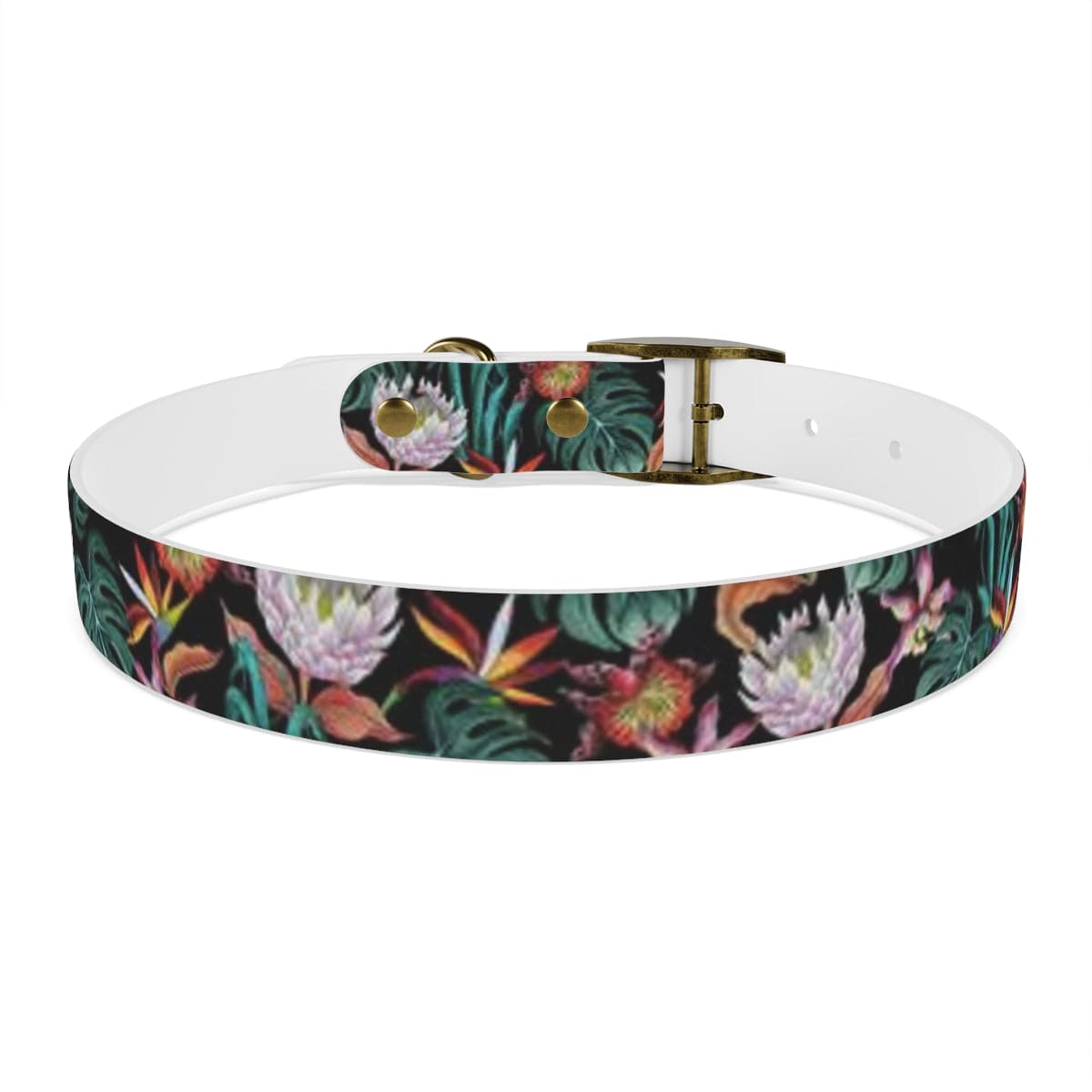 Island Escape Black Dog Collar