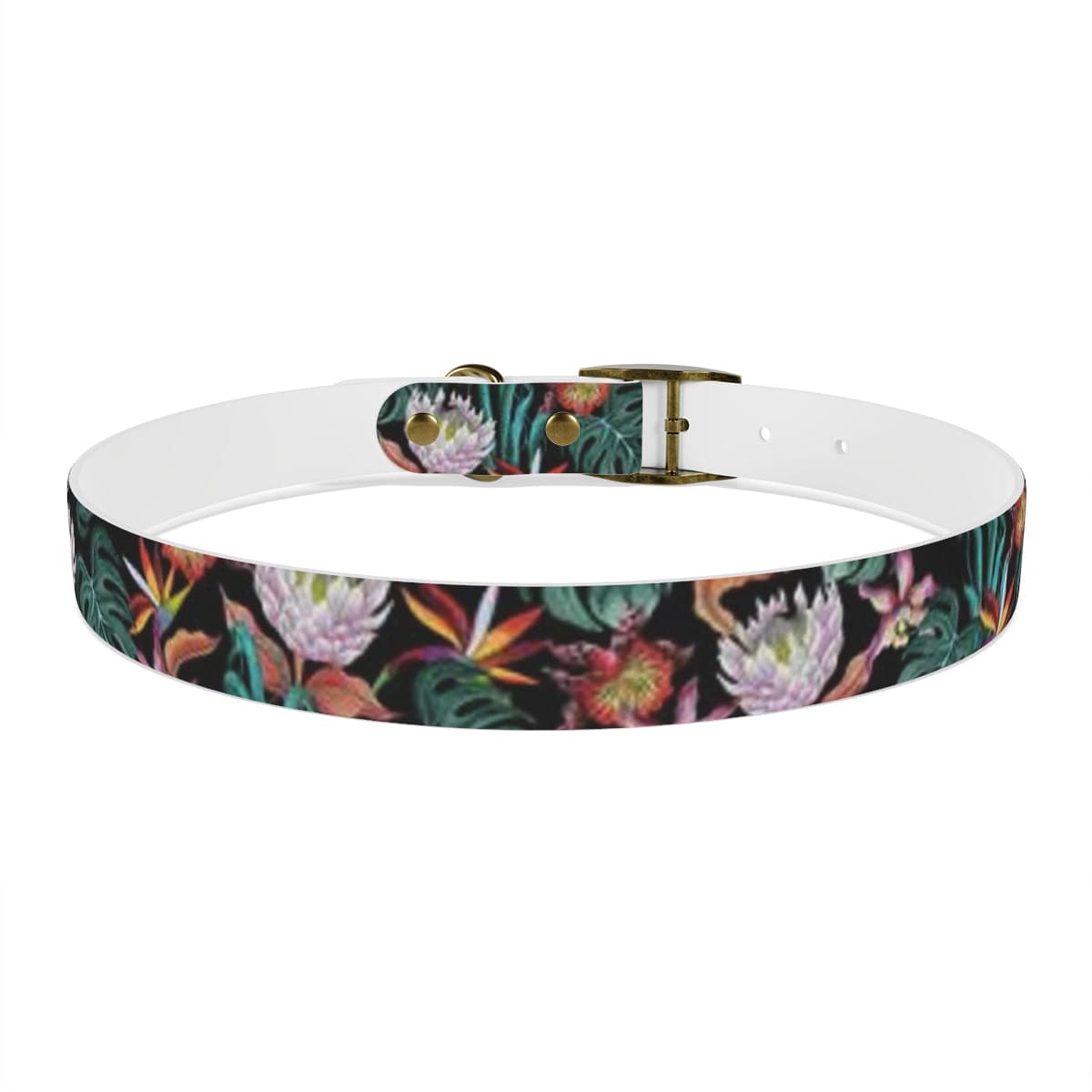 Island Escape Black Dog Collar